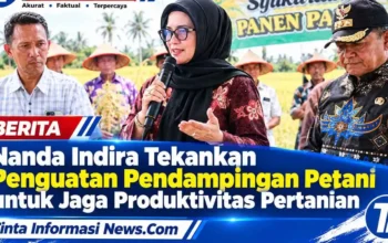 Panen Padi Meningkat di Pesawaran, Nanda Indira Dorong Penguatan Pendampingan Petani