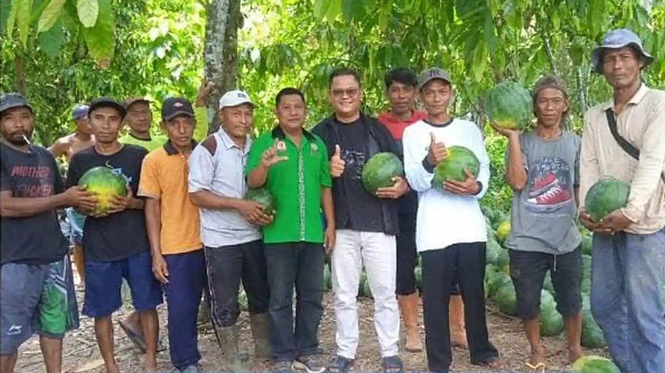 Panen Semangka Melimpah, Taruna Tani Nawasena Sejahtera Abadi Sulap Lahan Tidur Jadi Lahan Produktif