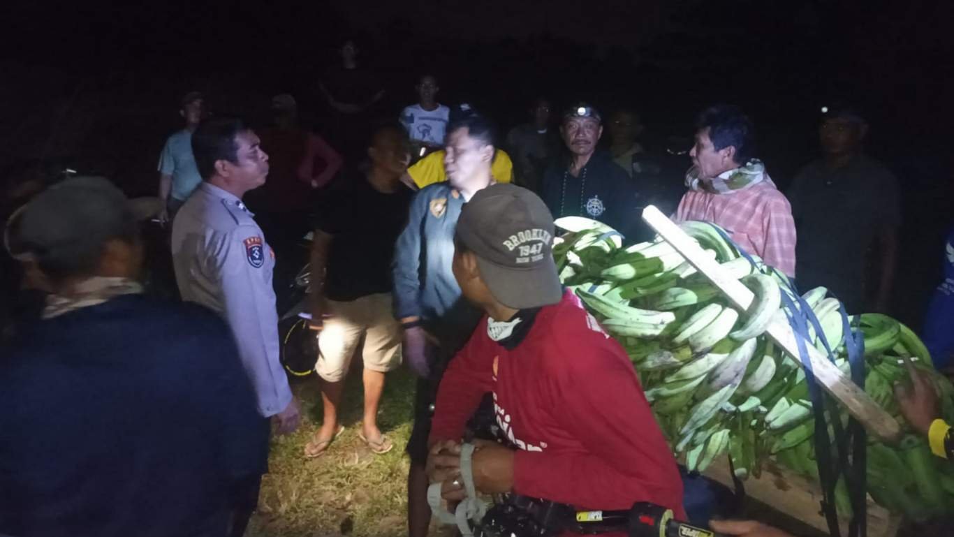 Polisi Amankan Pria Diduga Curi 11 Tandan Pisang di Tanggamus