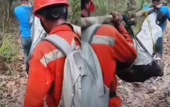 Warga Tulung Selapan Meninggal Saat Berupaya Padamkan Karhutla di Lahan Miliknya